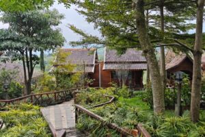 Galeri Tondano Cabin & Cafe (19)